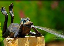 Bronze Frog Water Feature